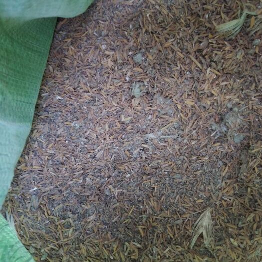 烟台稻壳鸡粪 优质农家肥 蔬菜水果苗木有机肥 40斤左右/包