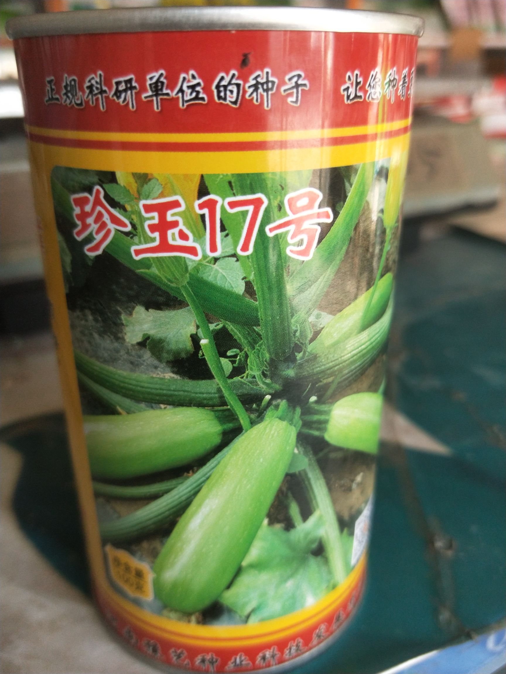 夏邑县西葫芦种子  抗病毒病的油绿皮西葫芦，特别油绿，