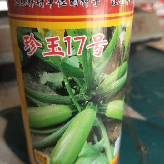 夏邑县西葫芦种子  抗病毒病的油绿皮西葫芦，特别油绿，