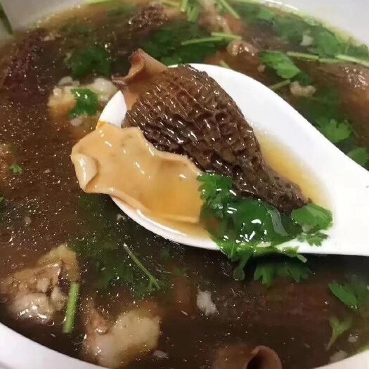 和平县羊肚菌