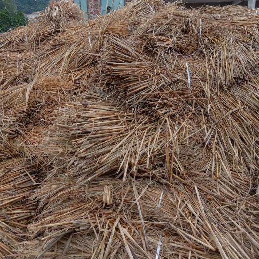 长顺县杂交稻 出售稻草，量多，质量好