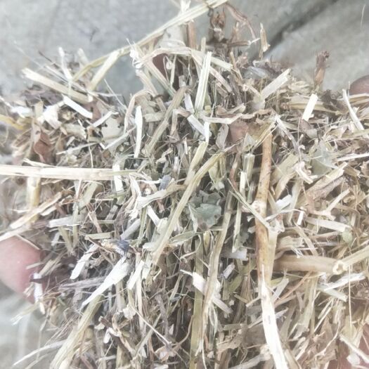 正阳县花生秧