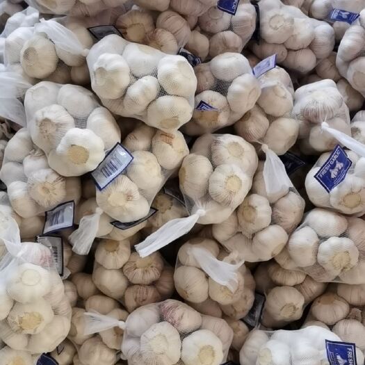 金乡县红皮蒜  长期供应金乡各种规格精品大蒜