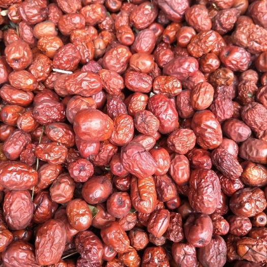 沧县金丝小枣 今年新干货，自产干度好，统货量大