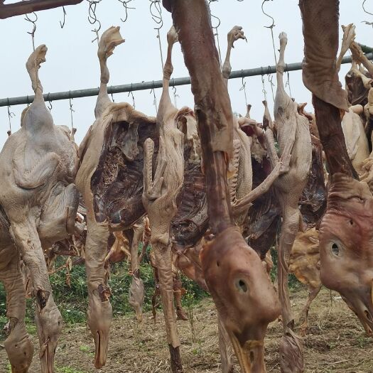 汉寿县腊鹅  风干鹅