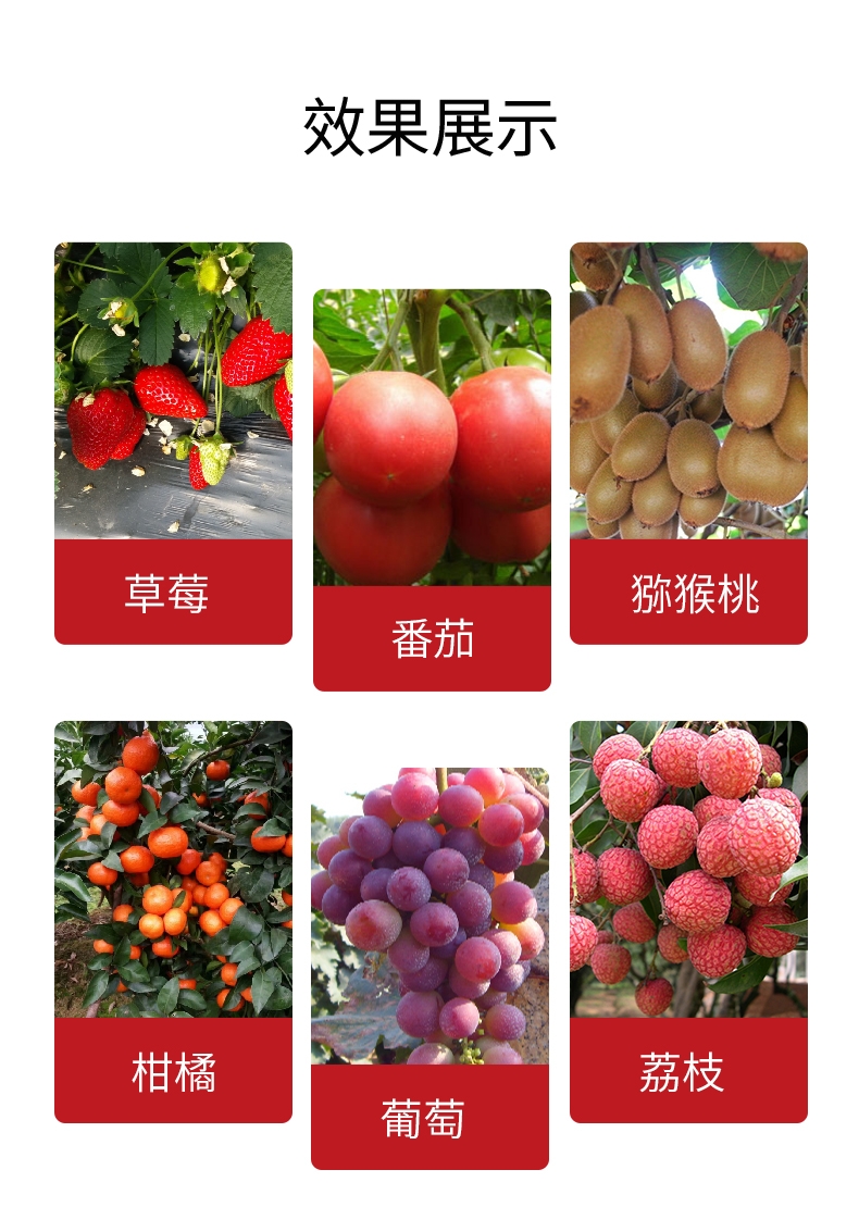 着色增甜科莱茵腐植酸叶面冲施肥水溶肥料蔬菜瓜果着色增甜