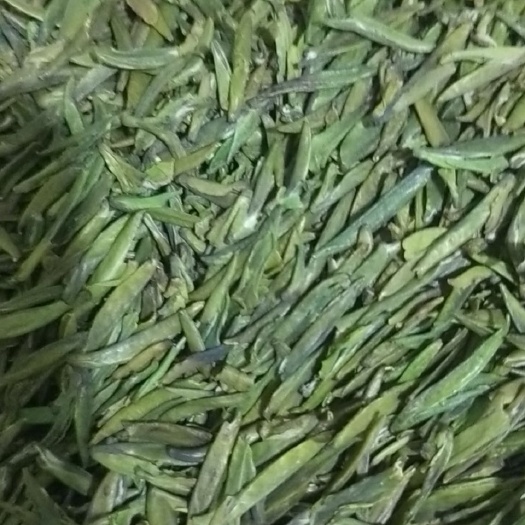 凤冈县翠芽 寿与天齐无觅处，唯饮茂花卿馨露茶叶