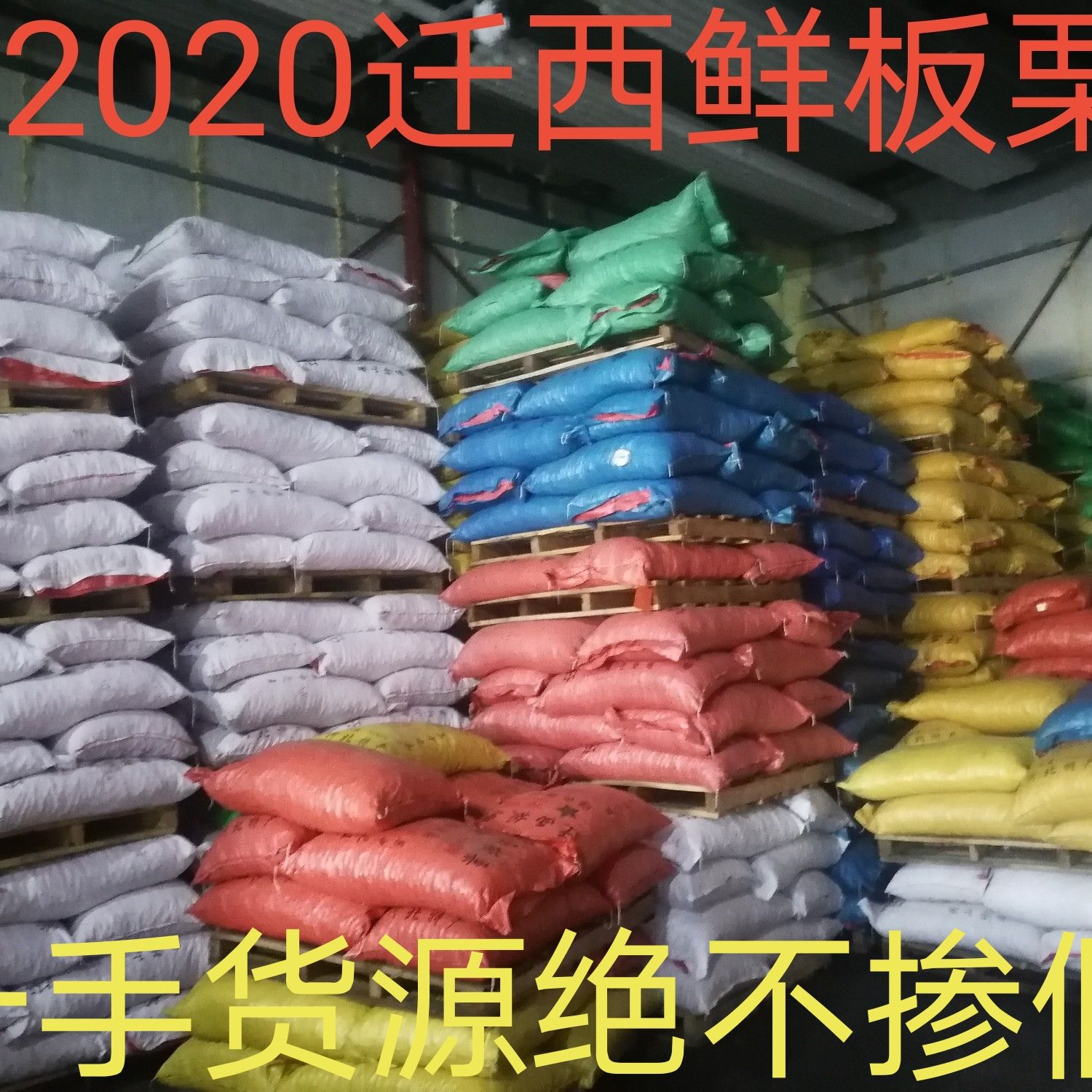 迁西板栗  2024迁西老树鲜板栗，开始发货不掺假，坏果陪付