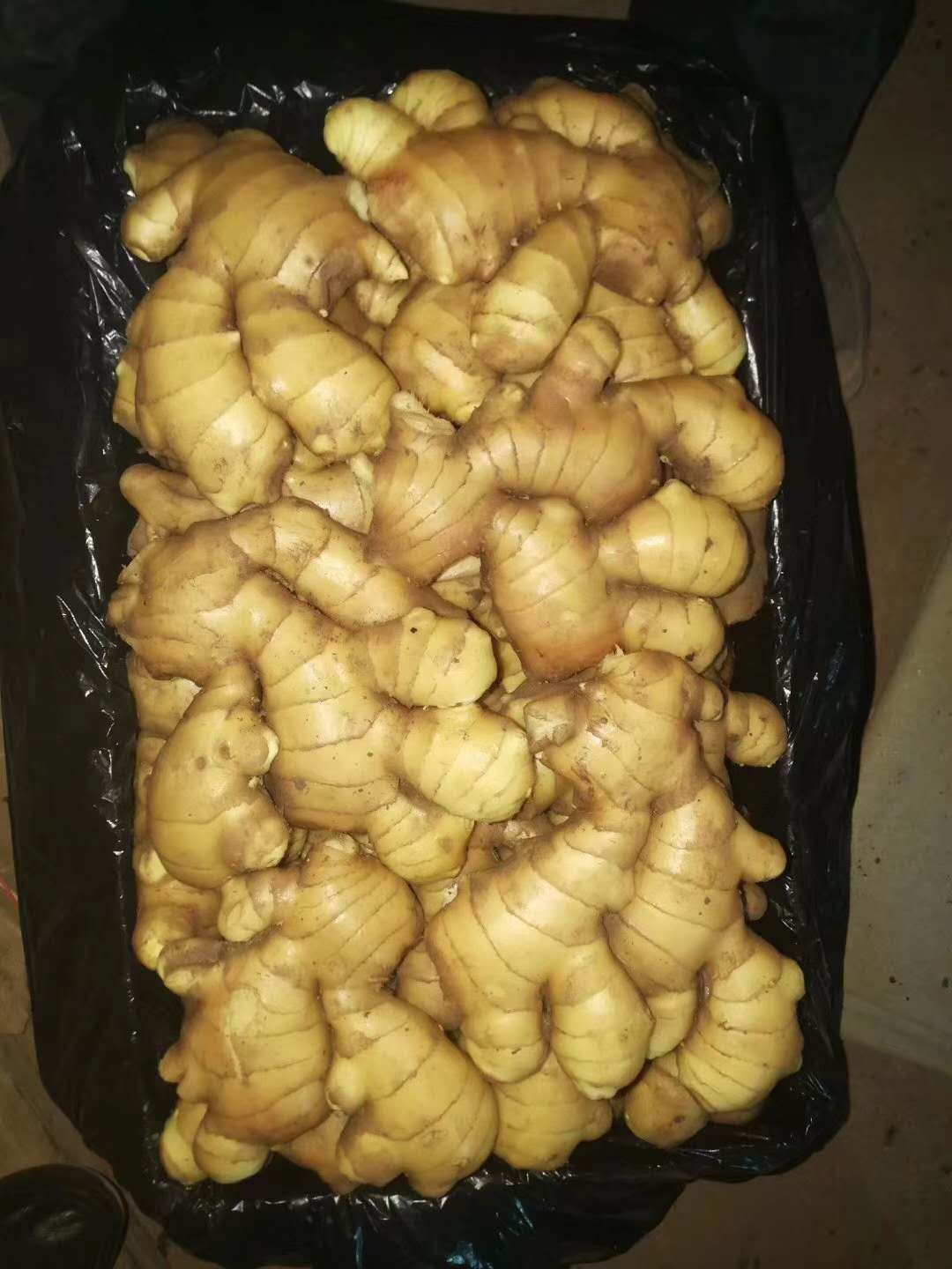 老姜 山东优质窖藏生姜块头大辣味浓厚价格便宜量大质优