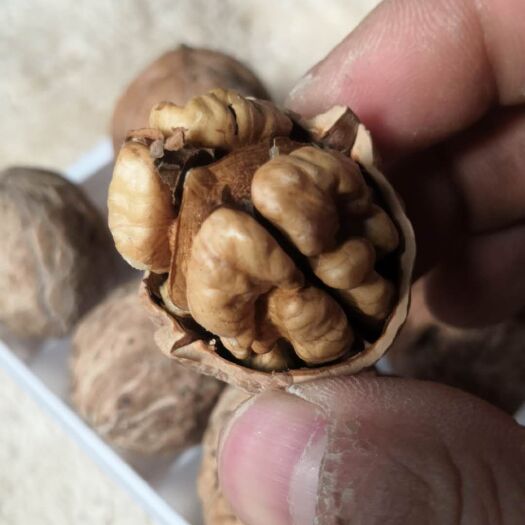铜川薄皮核桃，自产自销，5斤包邮，无漂白，保证48小时内发货