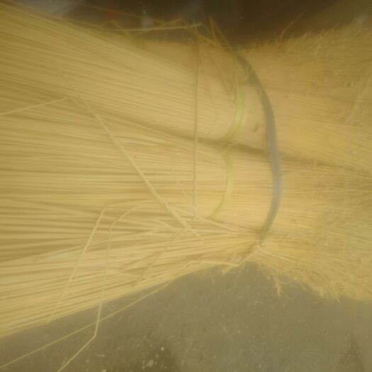 河池粽叶 糯米稻草，包粽子的必备良品。