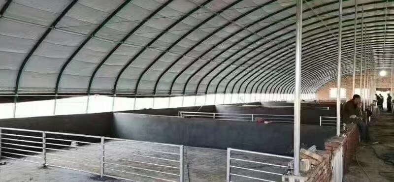 天津养殖大棚 您有建棚计划么