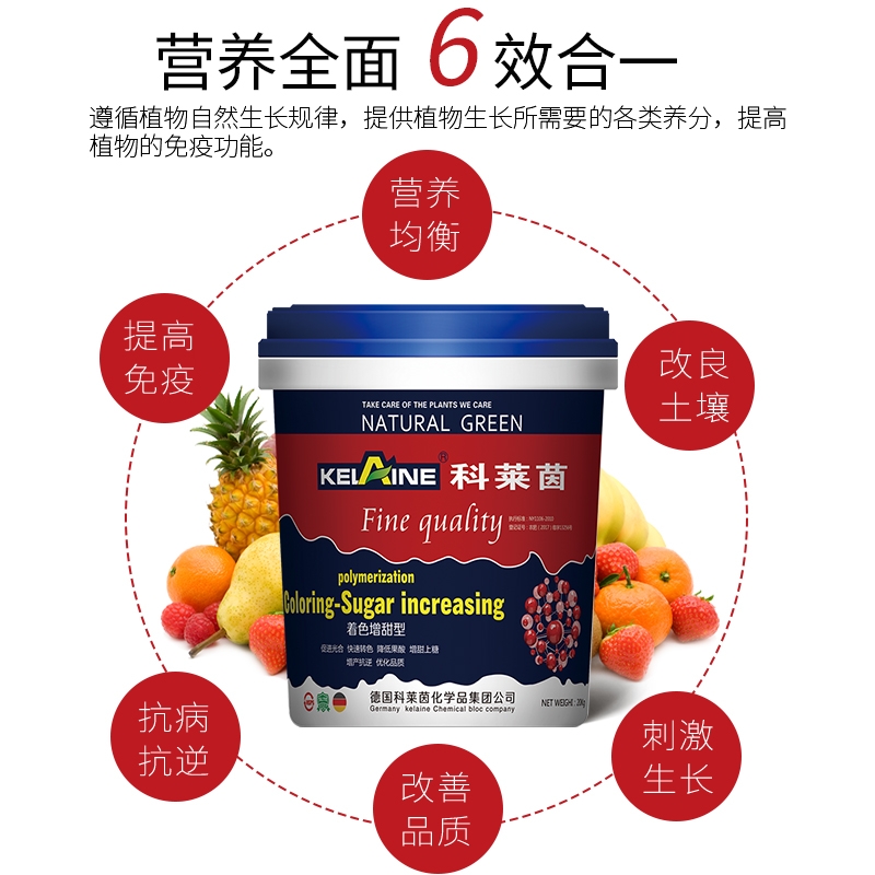着色增甜科莱茵腐植酸叶面冲施肥水溶肥料蔬菜瓜果着色增甜