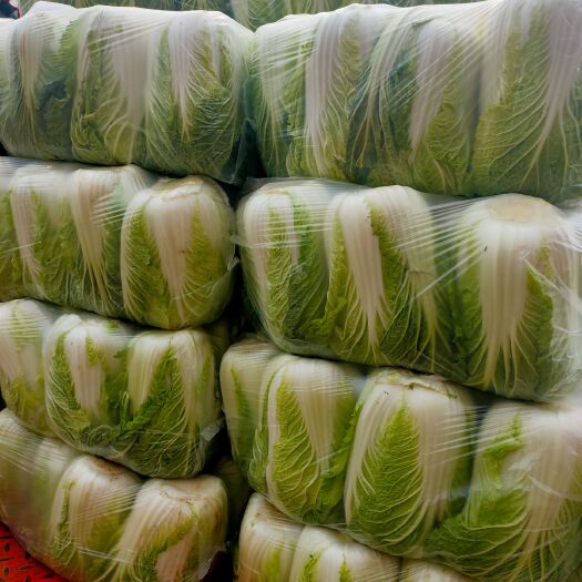 新野县黄心大白菜  多品种优质蔬菜大上市，质量上剩，价格适中，欢迎