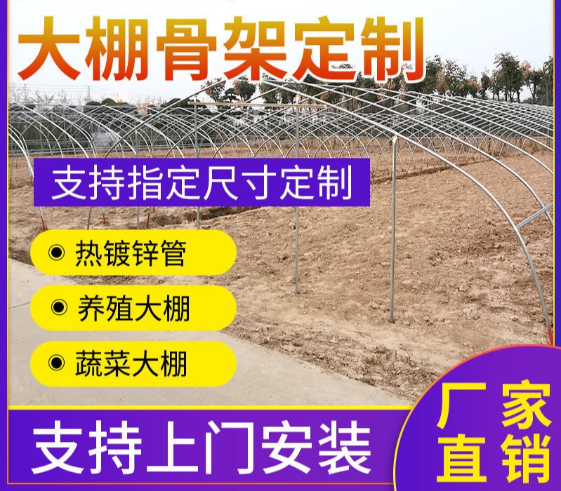 热镀锌大棚钢管，钢管大棚养殖大棚养羊棚养牛棚养鸡养鸭棚！