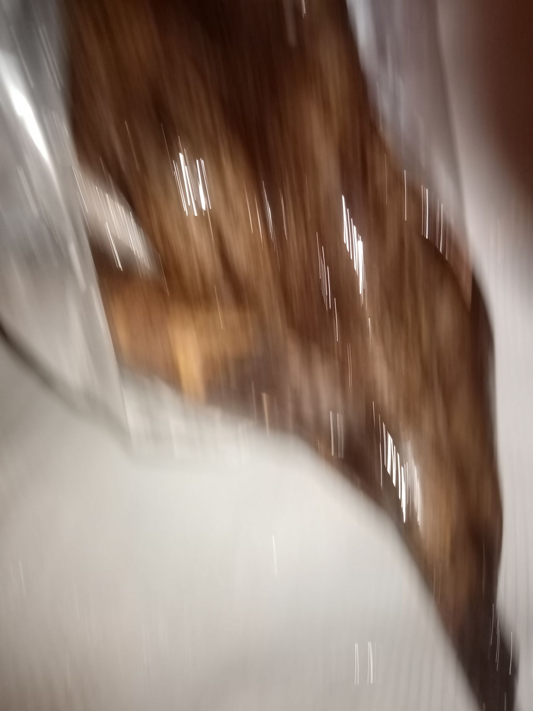 冰鲜笋壳鱼，批发海南水库天然绿色食品笋壳鱼大量供应。