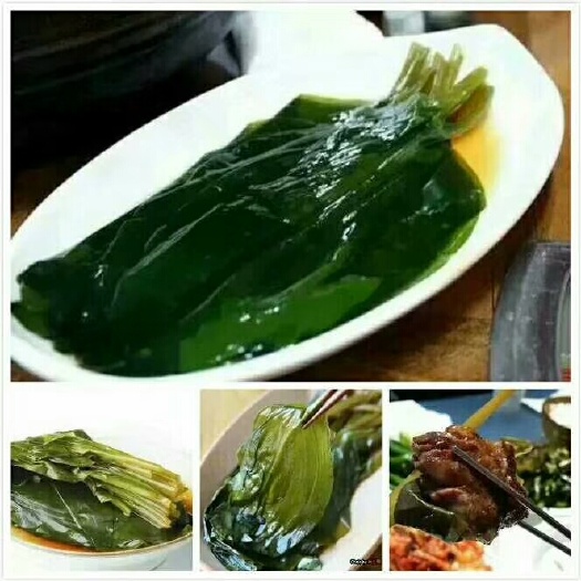 宁安市茖葱  茗荑菜，又名寒葱，，山蒜叶是韩式烤肉包饭重要食材酸甜