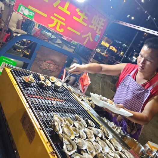 湛江湛江市牡蛎  生蚝厂家养殖场直销湛江生蚝牡蛎生蚝批发