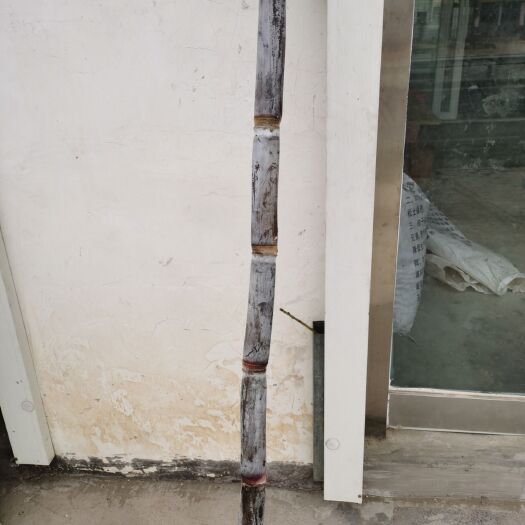 邹城市黑皮甘蔗 北方甘蔗，甘甜味美。