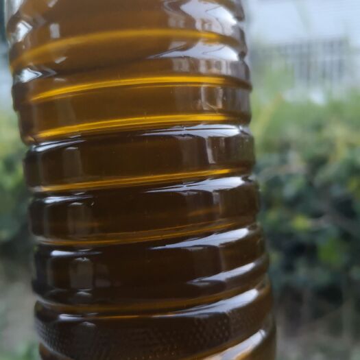 涟水县自榨纯菜籽油 压榨法 