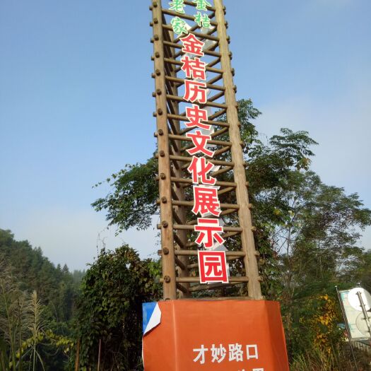 融安县滑皮金桔  产地直销，纯甜不酸，洗洗带皮吃