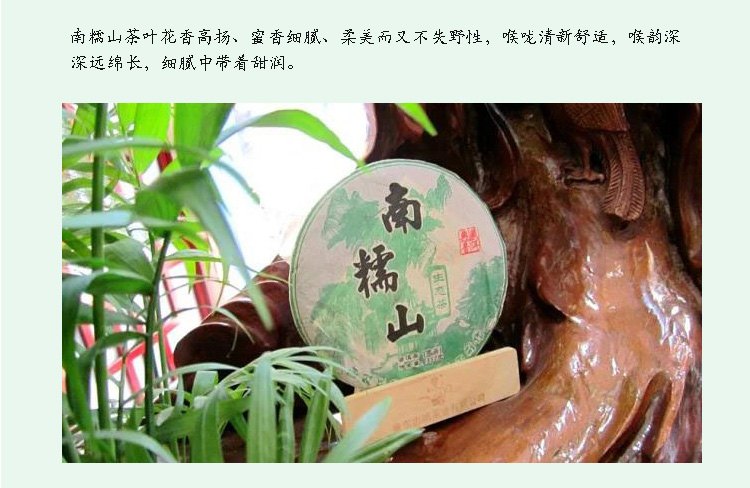 普洱饼茶  2013南糯山普洱茶生茶饼生态古树茶云南勐海七子饼生饼