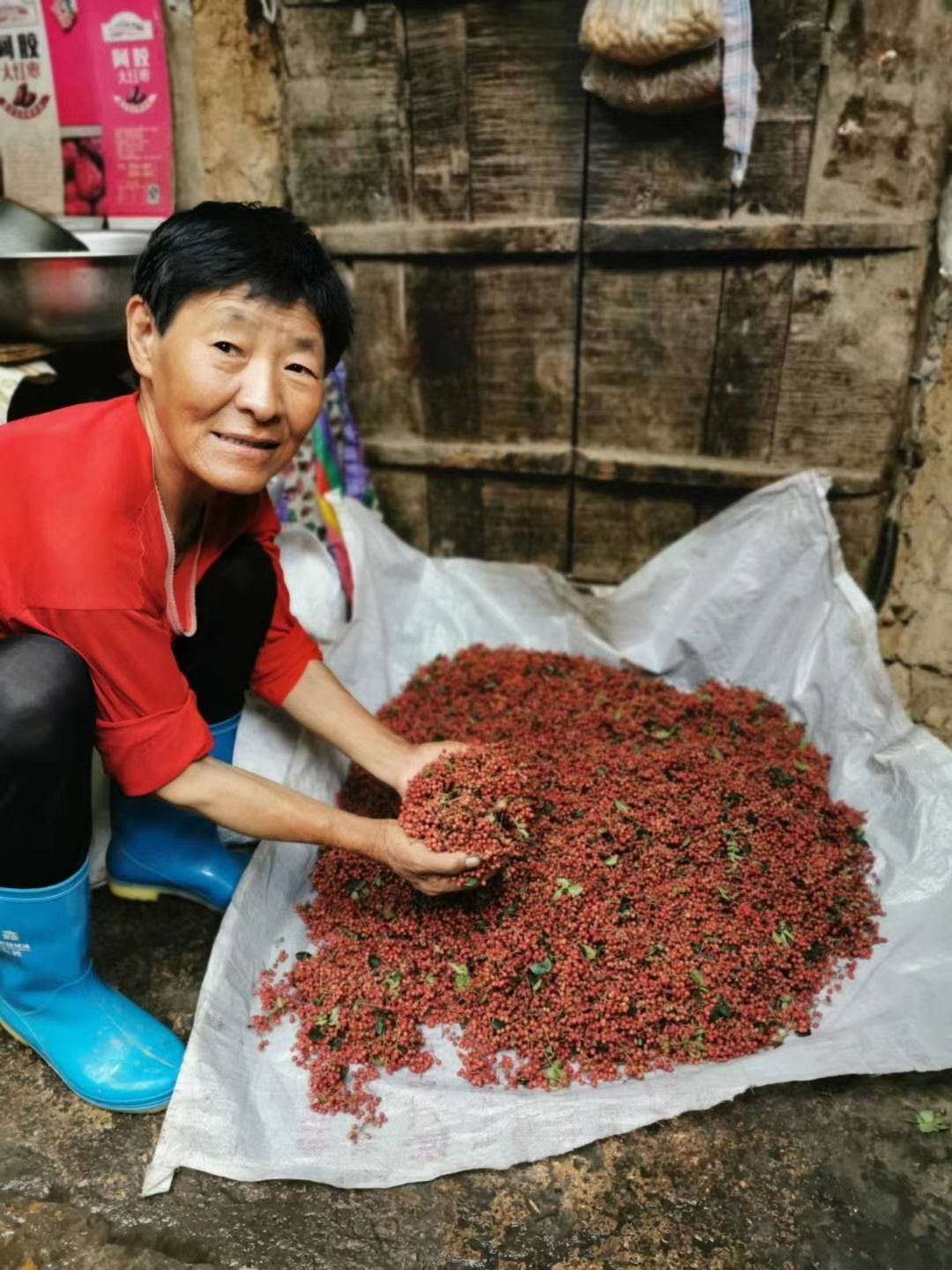 太行山农家大红花椒