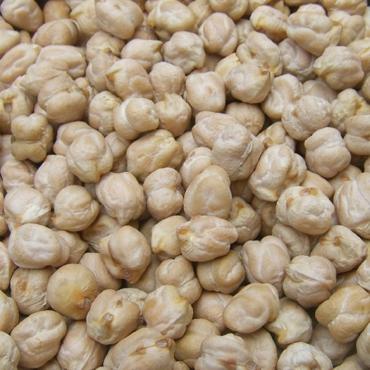 新鹰嘴豆小粒颗粒饱满营养丰富易吸收5斤起批一件袋发包邮