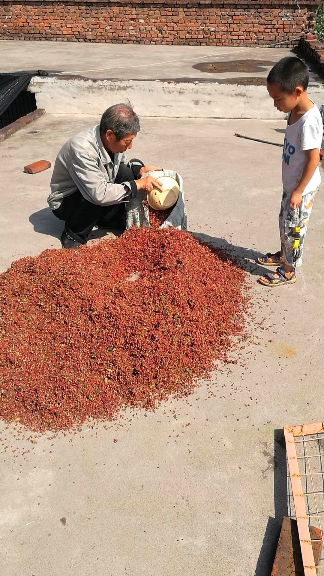 太行山农家大红花椒