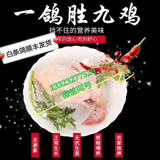 献县乳鸽，可抽真空