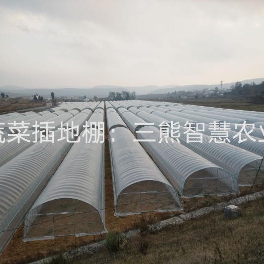 昆明镀锌带种植大棚 节水灌溉温室大棚