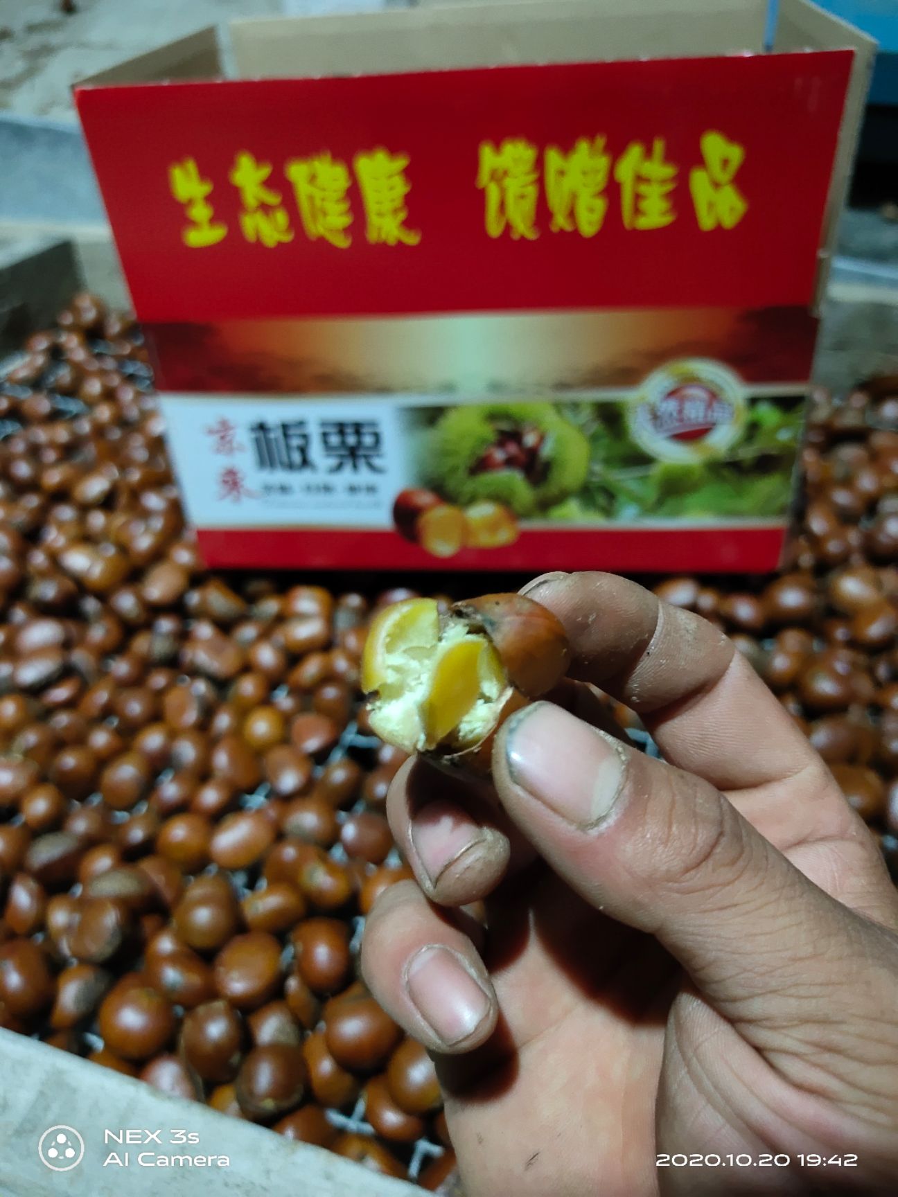 糖炒板栗专用