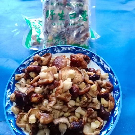 张北县 杨树蘑，地扣，老头扣山蘑菇