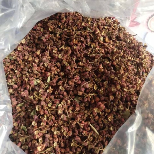 芮城县大红袍花椒 黄土高原产