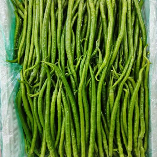 青州市二荆条 精品