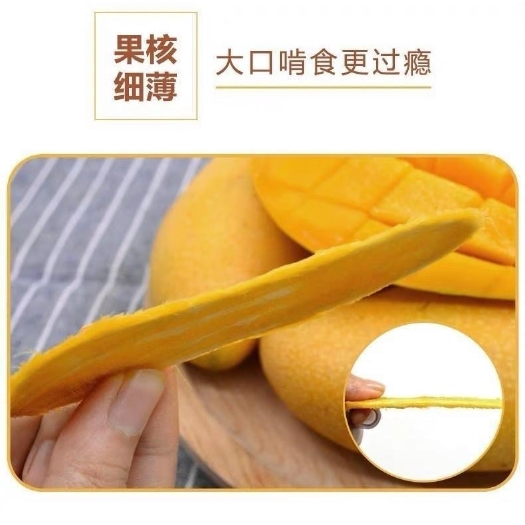 灵山县金煌芒果苗  金煌芒果树苗，金煌芒果嫁接苗种植当年结果