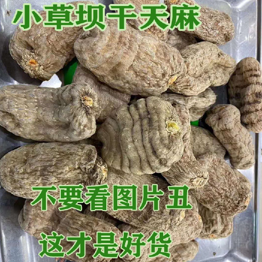 彝良县小草坝天麻 昭通小草坝干乌天麻农户植物自产自销