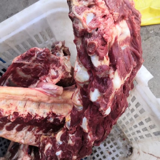 石家庄驴脊骨  满肉脊骨肉多多新鲜量大