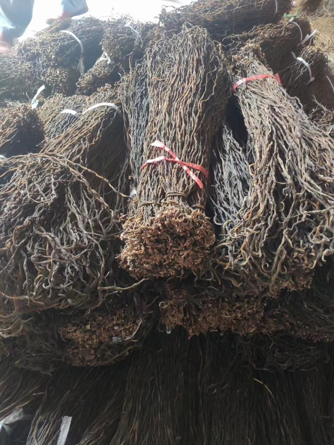 干豆角 24个月以上 