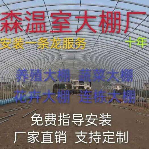 天津钢管大棚椭圆管大棚双模骨架棚钢结构猪舍
