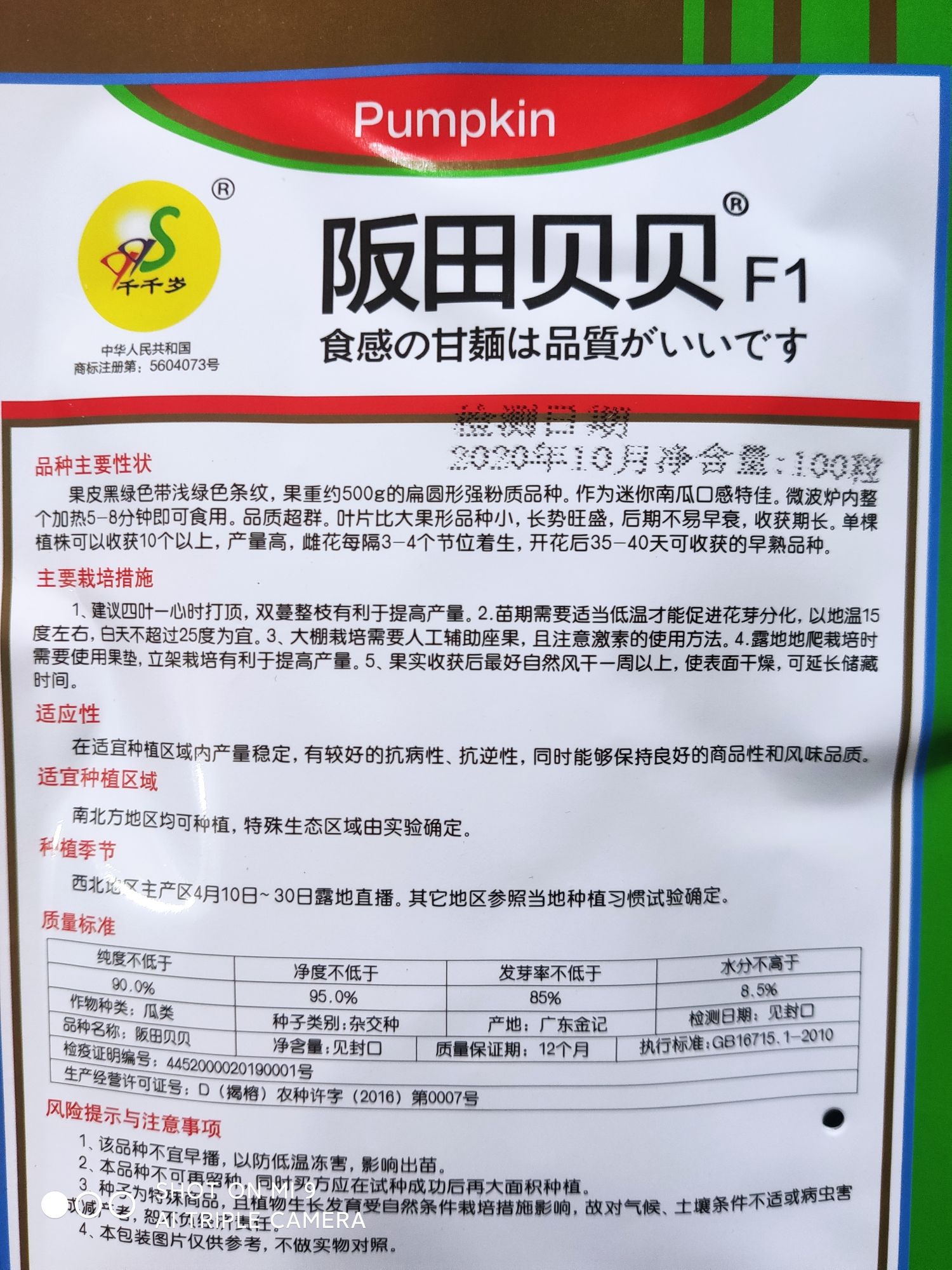 貝貝南瓜種子  （原裝）阪田貝貝 迷你貝貝南瓜 粉 香 糯 甜 高品質(zhì)