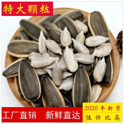 临泉县361葵瓜子  特大颗粒 炒熟原味葵瓜子花子 葵瓜子 批发