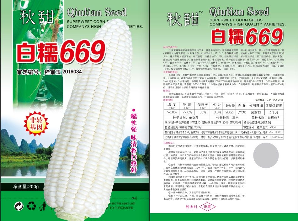 玉米种子 白甜糯，白糯种子准备发货