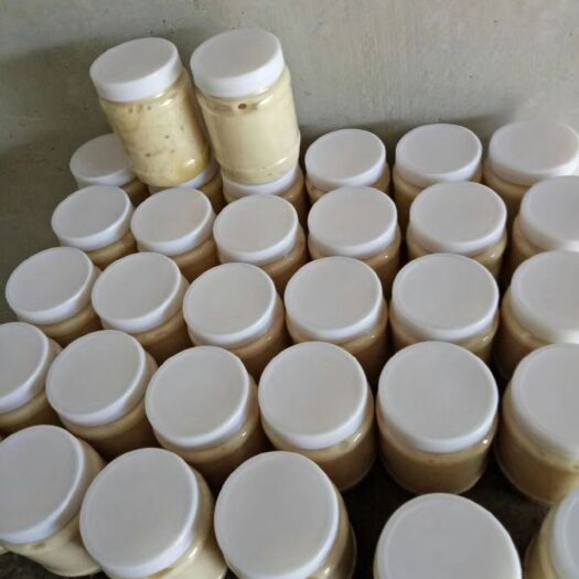 六盘水 贵州六盘水纯正天然蜂王浆农家自产