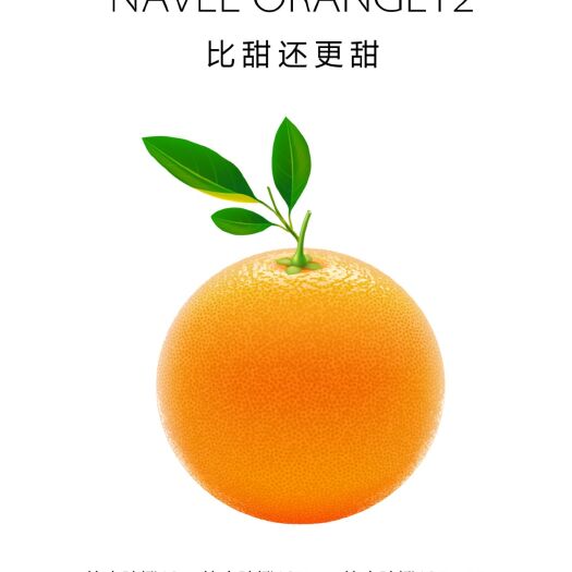 龙南市脐橙  17.5°黄金酸甜比