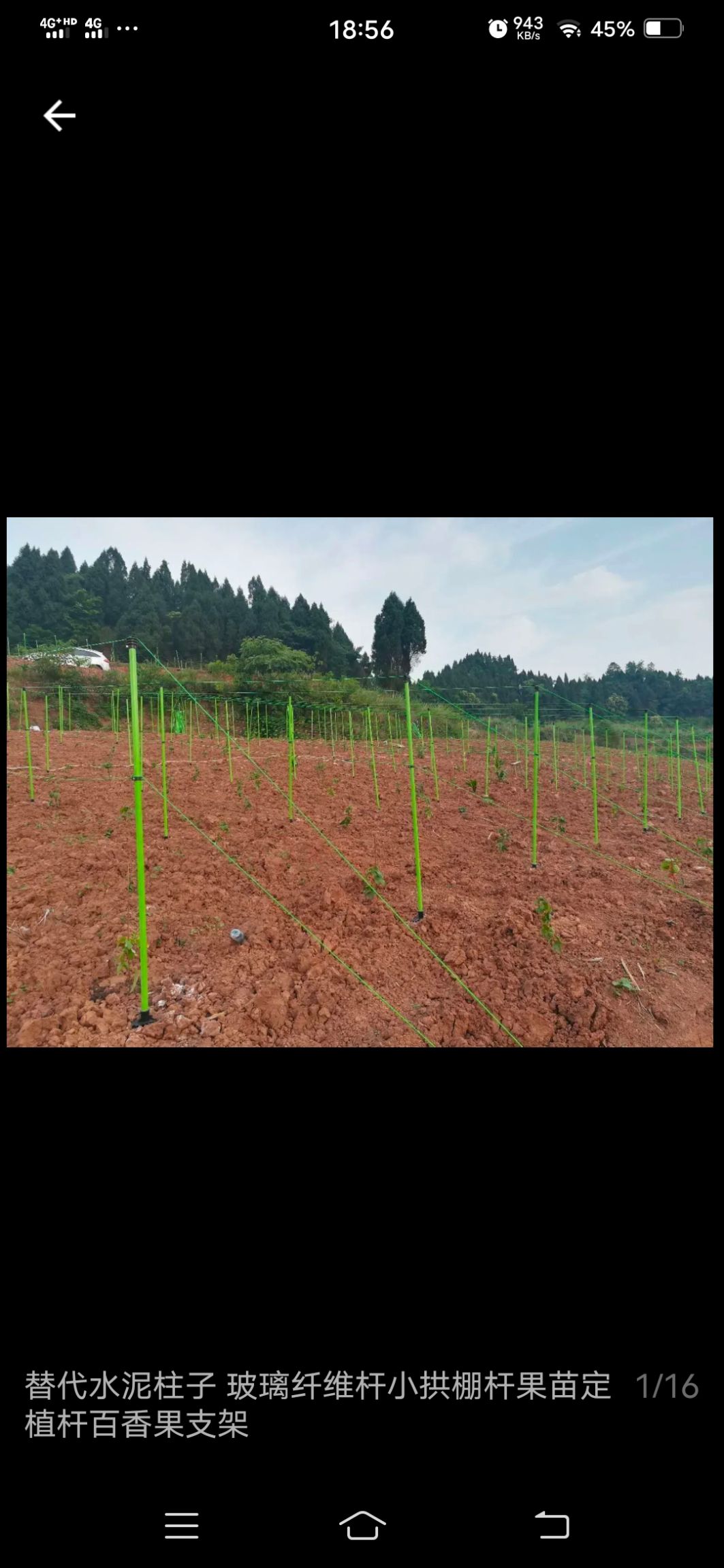 大棚管  百香果支架，葡萄避雨棚，猕猴桃避雨棚，代替水泥柱，