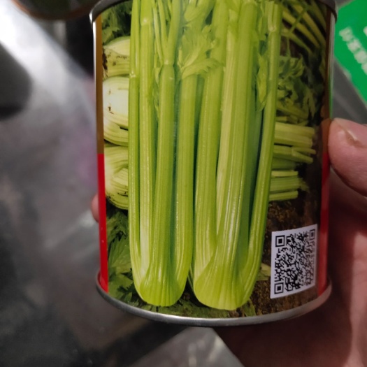 夏邑县西芹种子 贵族西芹