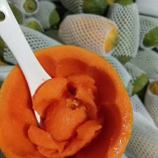 建水县红心木瓜