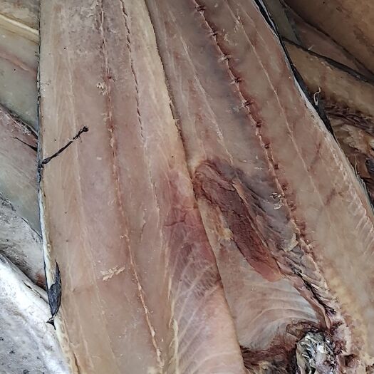 滨州刀鲅鱼，一条一斤装，一款咸鱼，质量不错，大量现货批发，