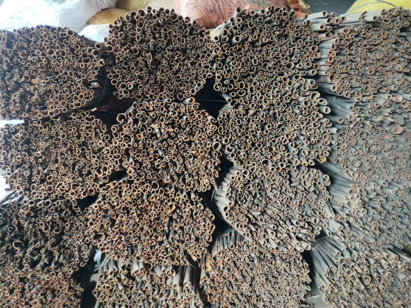  广西桂皮